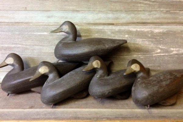 Churchs Island Style Ruddy Ducks – $400 each
