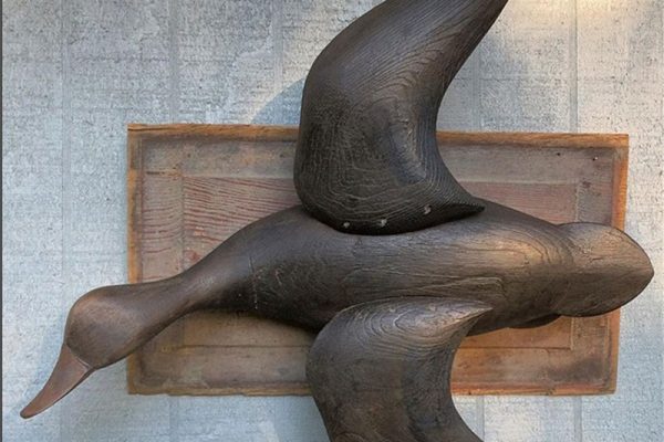 Flying Black Duck Plaque